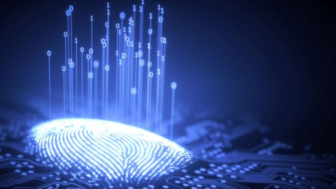 3d artificial fingerprint